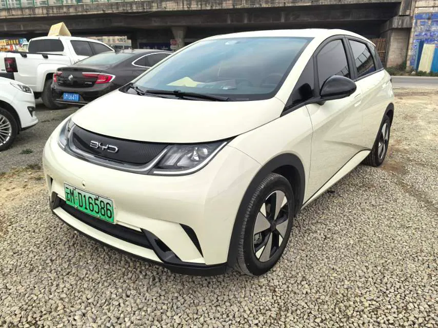 BYD BYD Dolphin — Beige