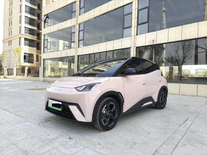 BYD Seagull 2023 Seagull Flight Edition — photo 1