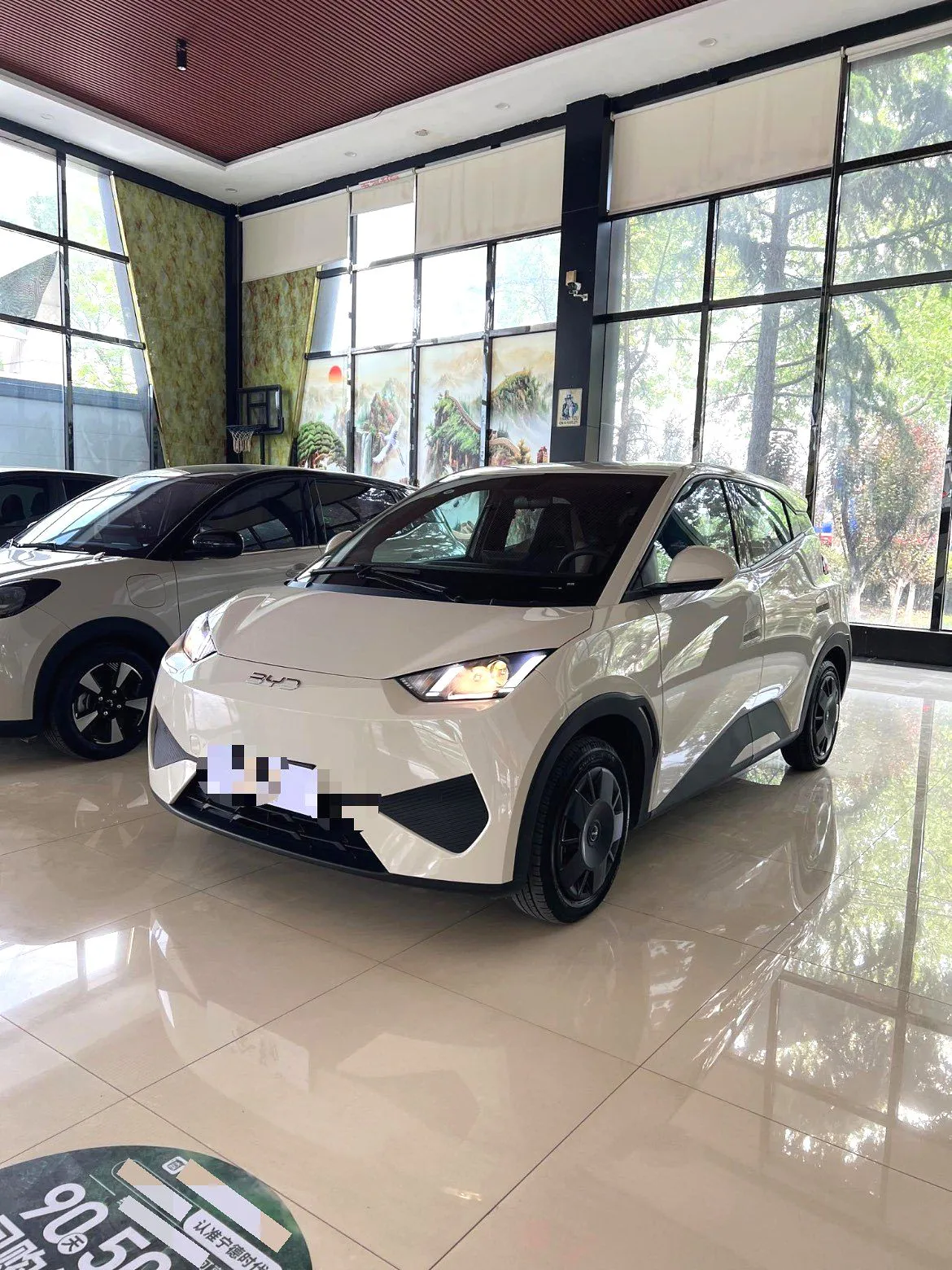 BYD Seagull 2025 Seagull Intelligent Driving Version 305km Vitality Edition — photo 1