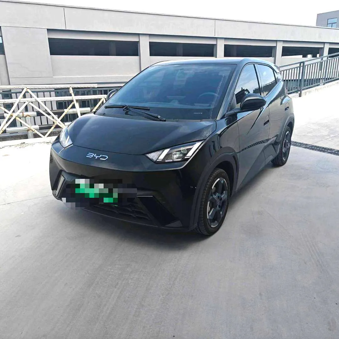 BYD Seagull 2024 Seagull Glory Edition 405km Flying Version — photo 1