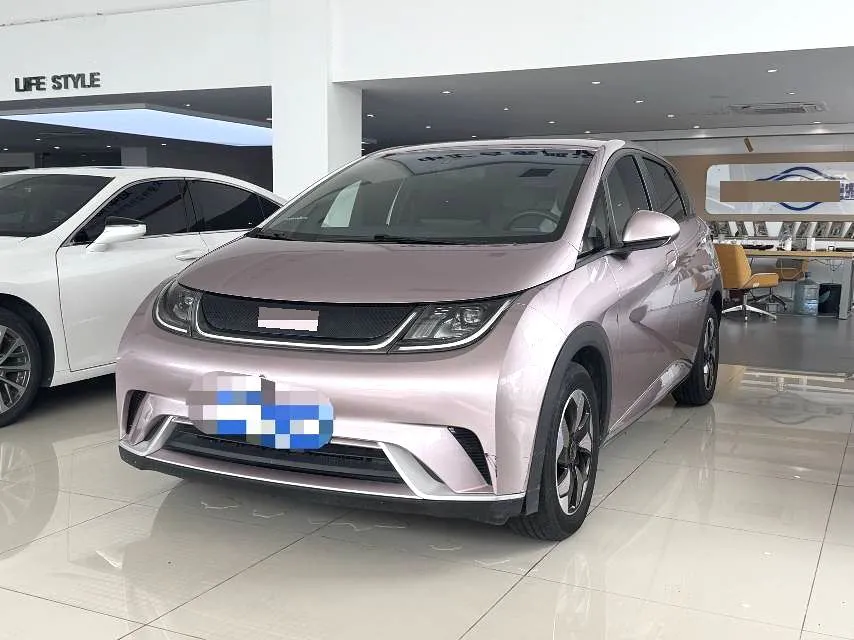 BYD Dolphin 2024 Dolphin Glory Edition 420 km Freedom Model — photo 1
