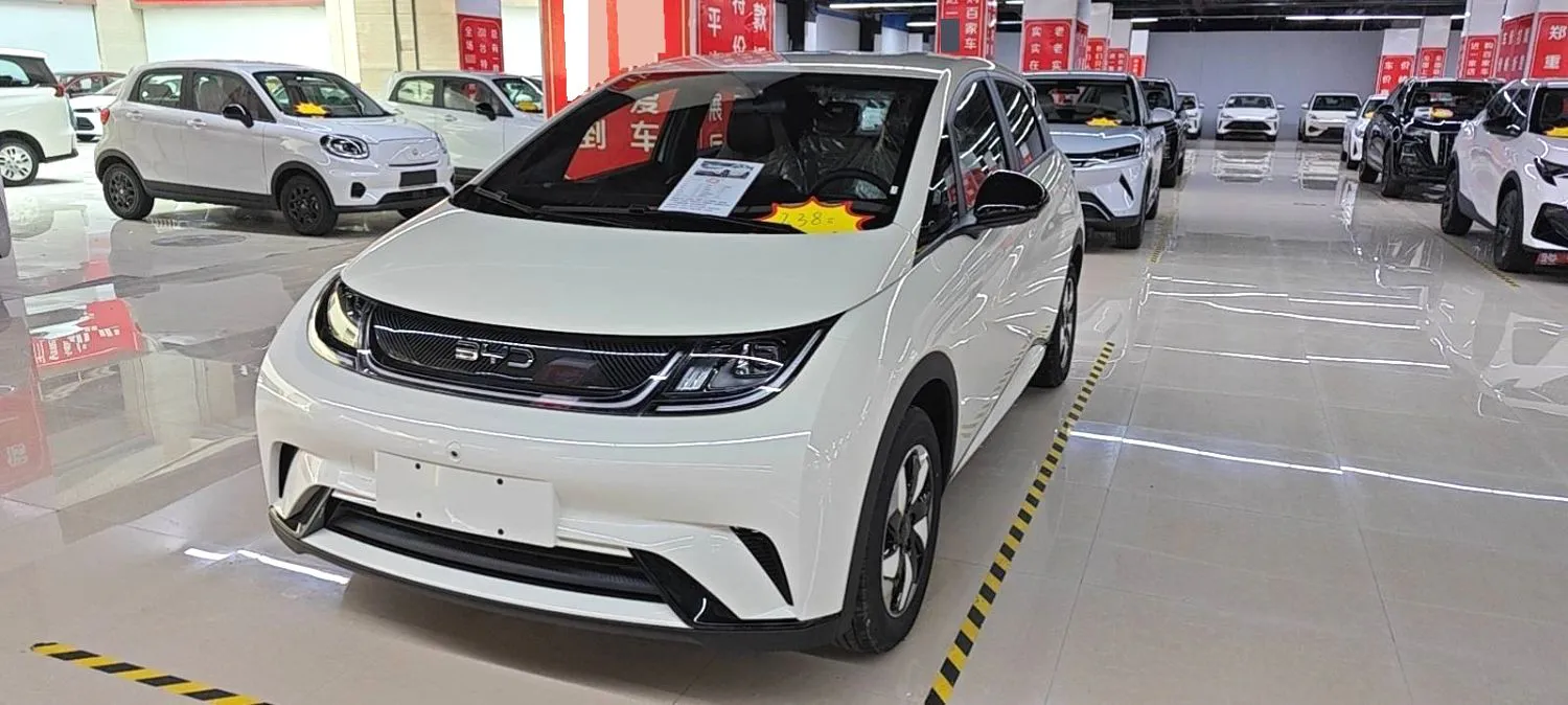BYD Dolphin 2025 Dolphin Intelligent Driving 420 km Freedom Model — photo 1