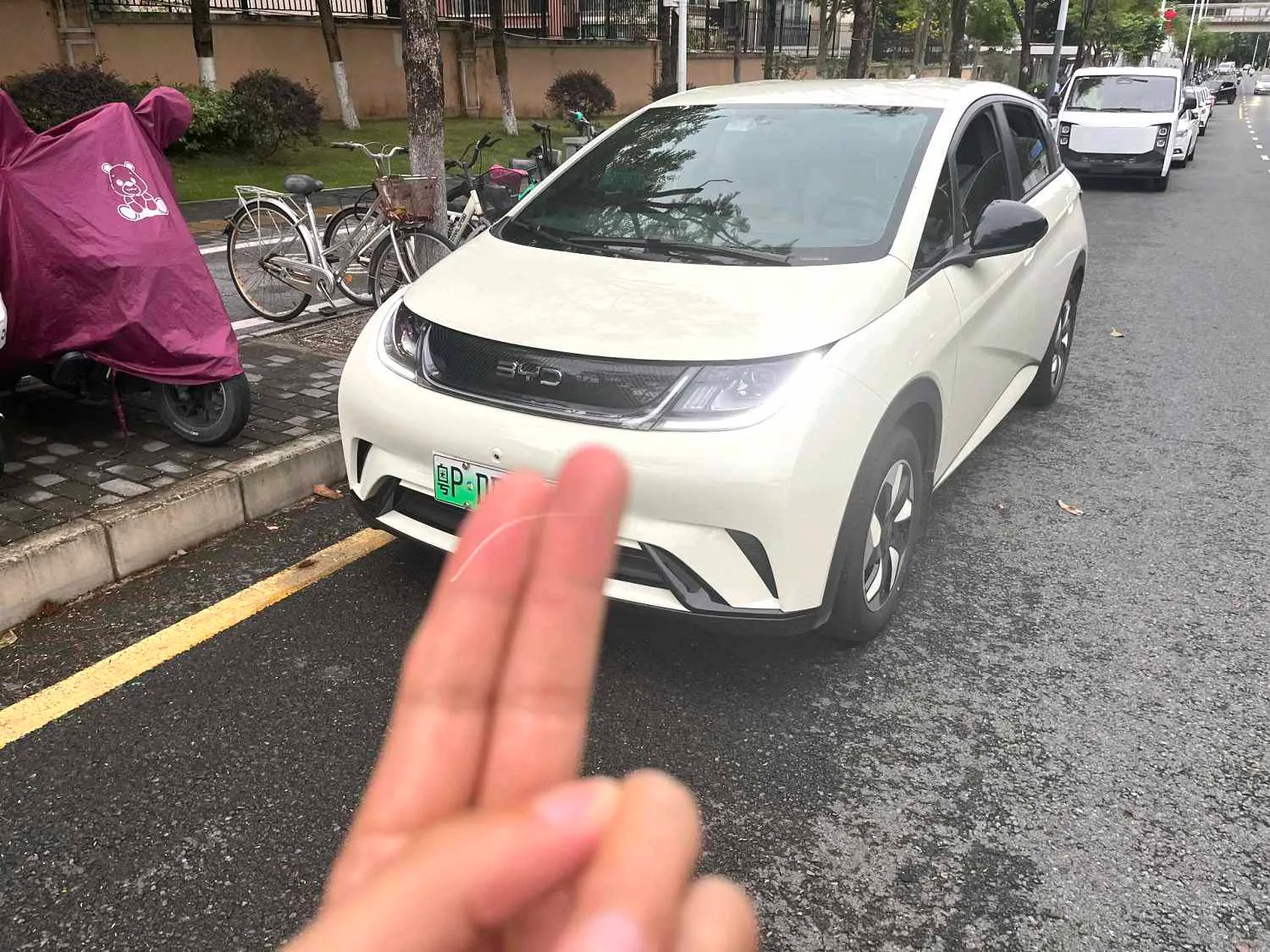 BYD Dolphin 2025 Dolphin 420km Dynamic Version — photo 1