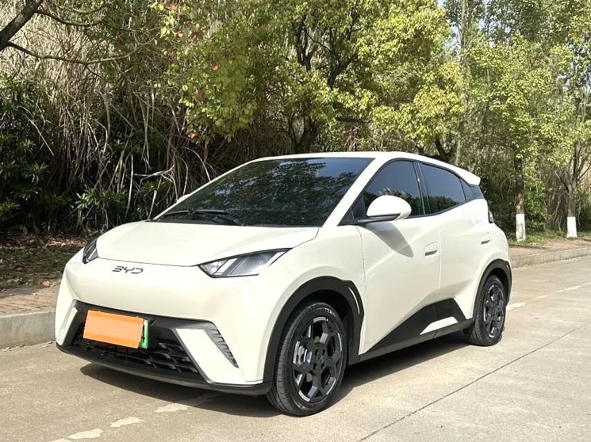 BYD BYD Seagull — بيج