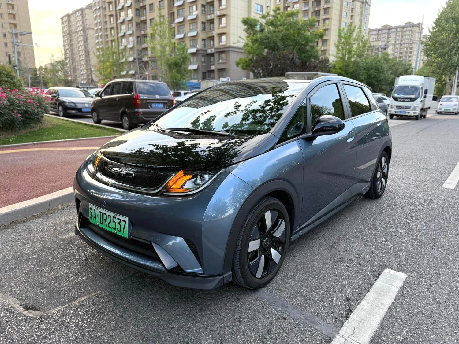 BYD Dolphin 2023 Dolphin 401km Rider Edition — photo 1