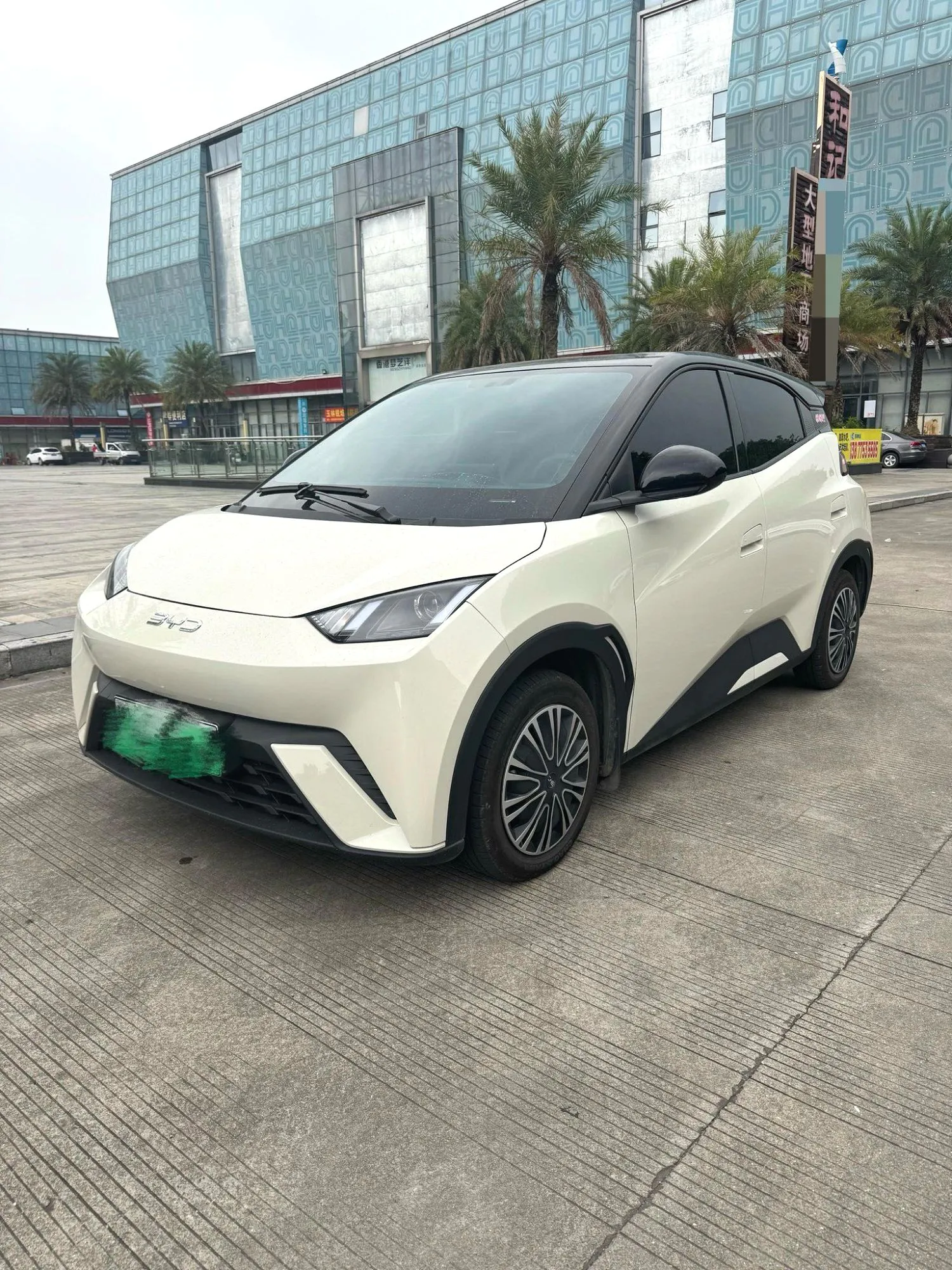 BYD Seagull 2025 Seagull 305km Freedom Version — photo 1