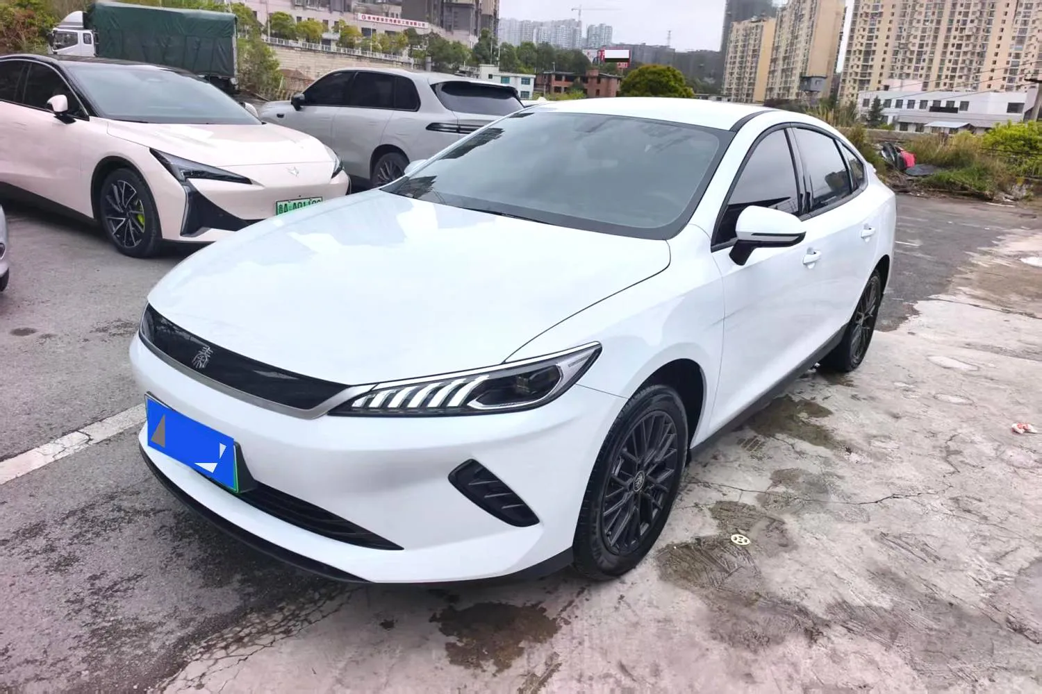 BYD BYD Qin PLUS — أبيض