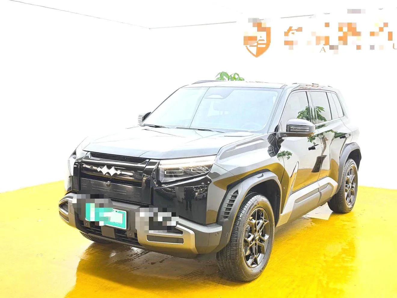 Formula Formula Leopard Titanium — أسود