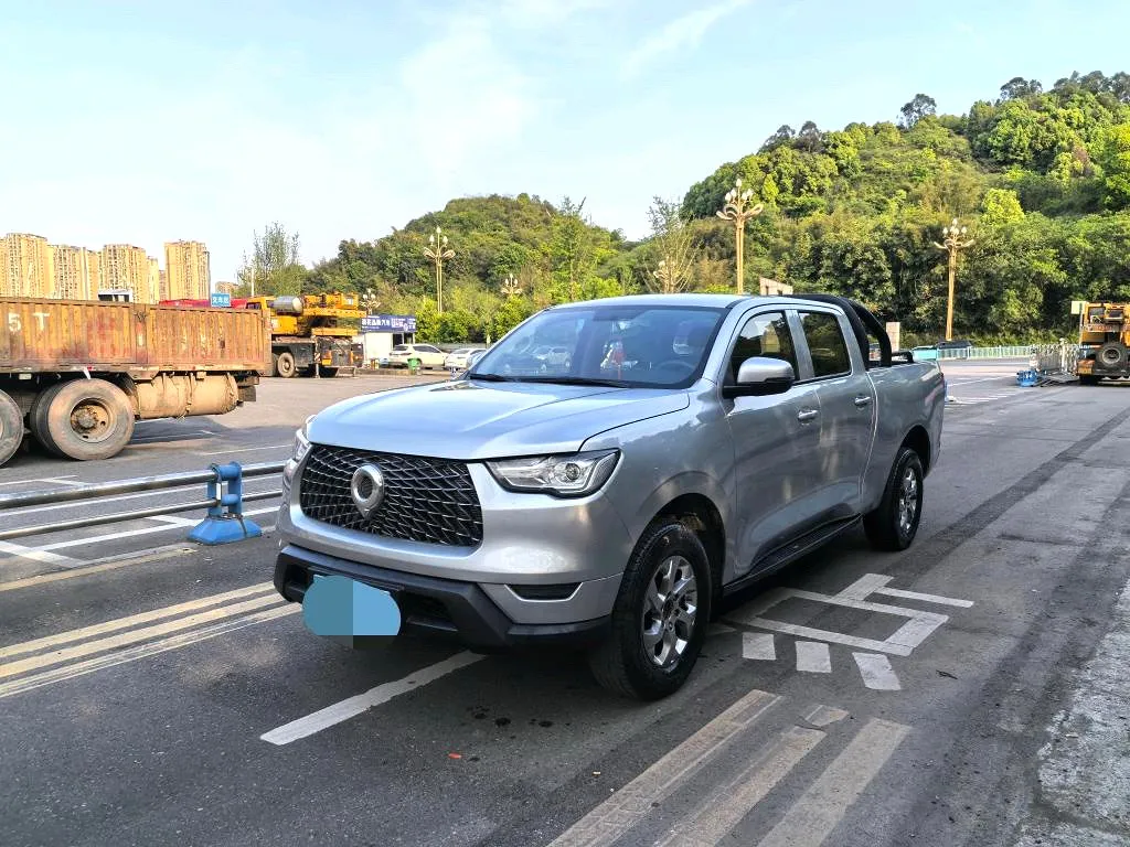 Great Wall Great Wall POER — Gris