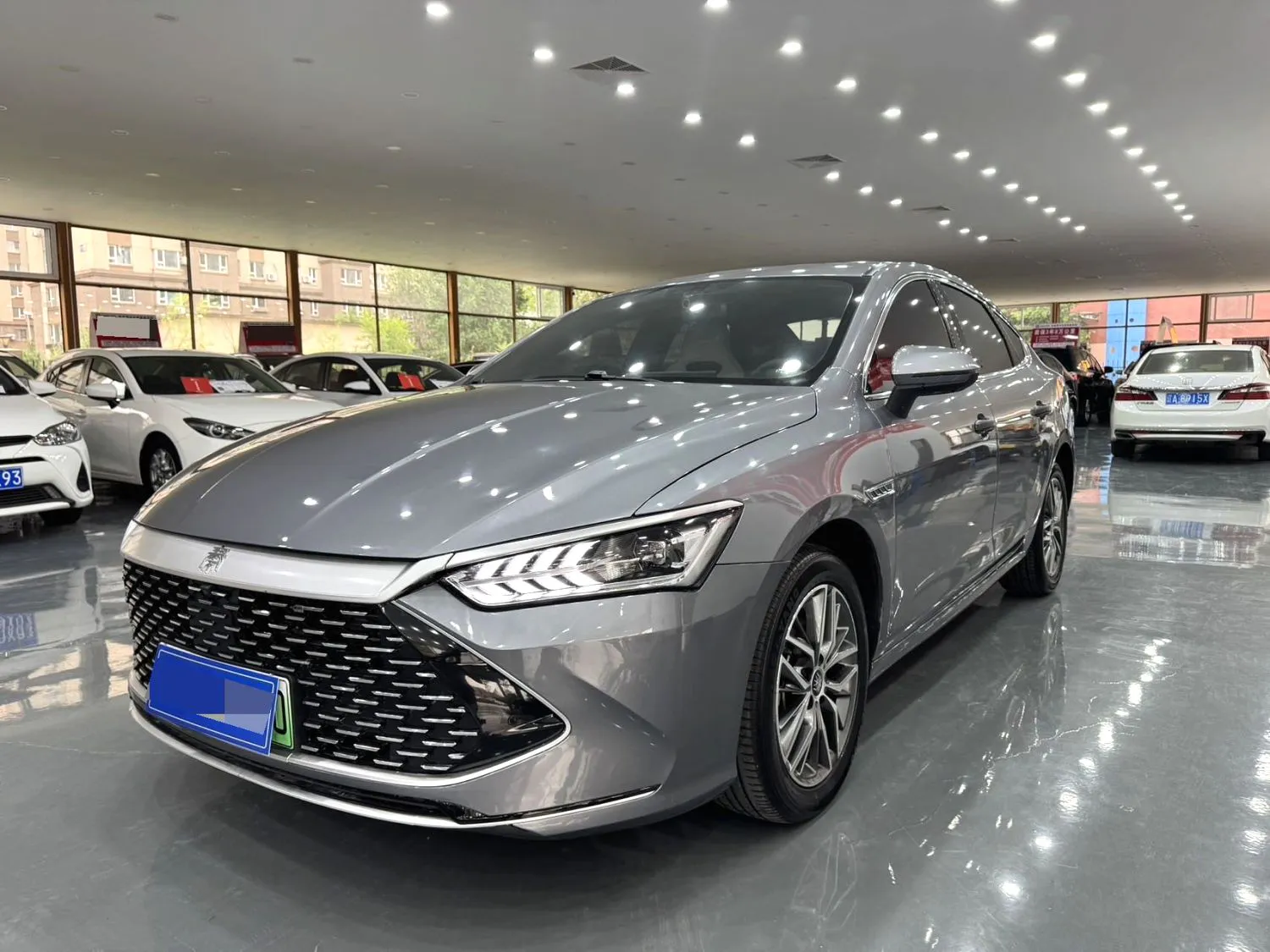 BYD BYD Qin PLUS — Gris
