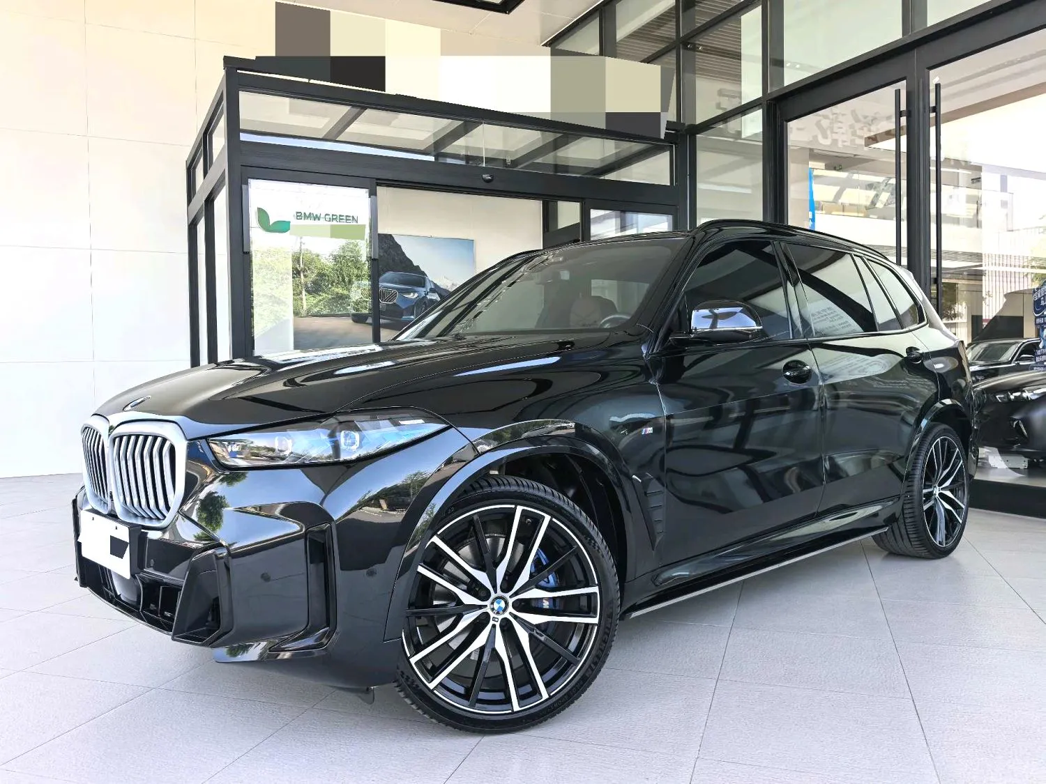 BMW BMW X5 — Negro