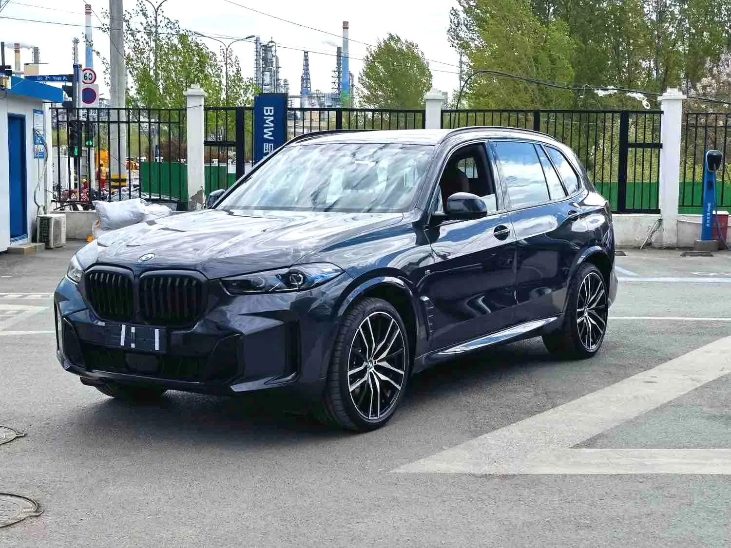 BMW BMW X5 — Серый