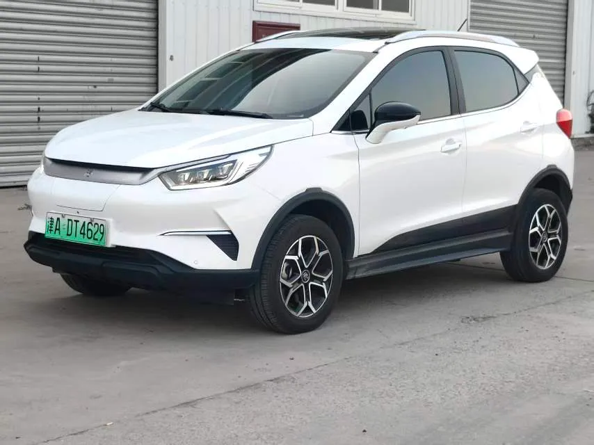 BYD Yuan Pro 2021 Yuan Pro Lifetime Edition — photo 1