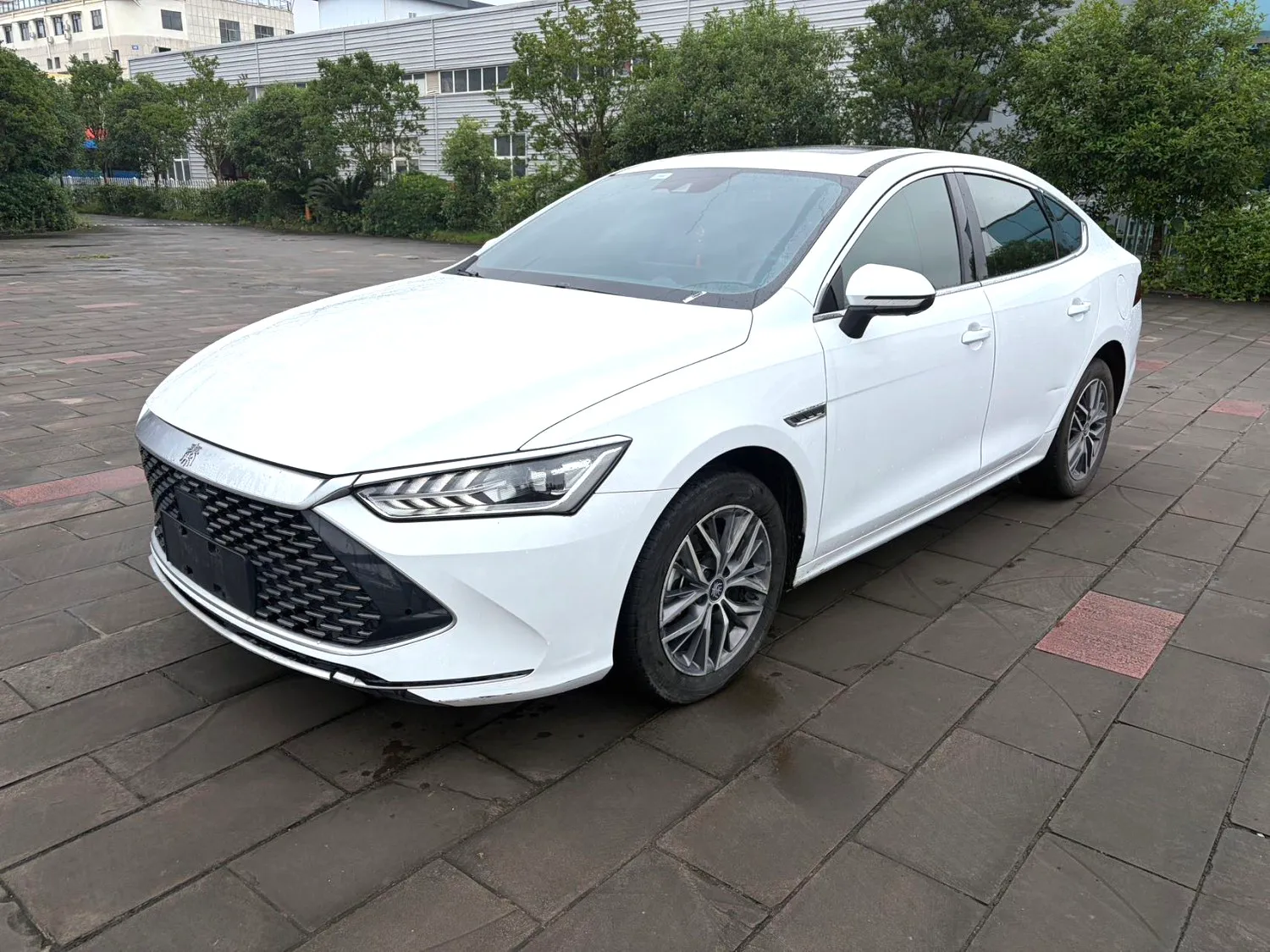 BYD BYD Qin PLUS — Blanc