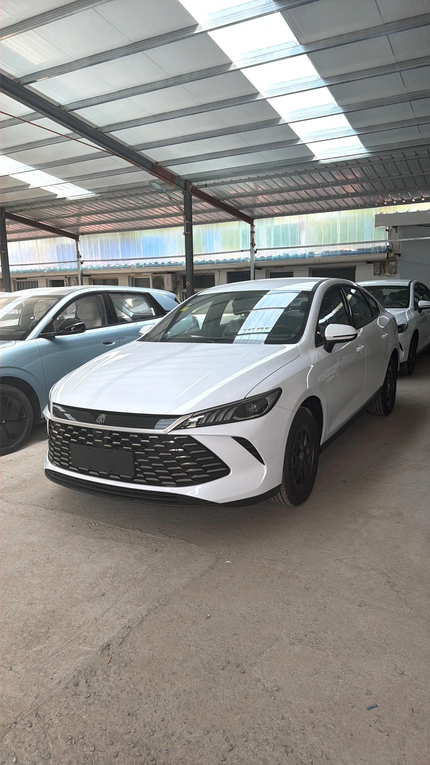 BYD BYD Qin PLUS — أبيض