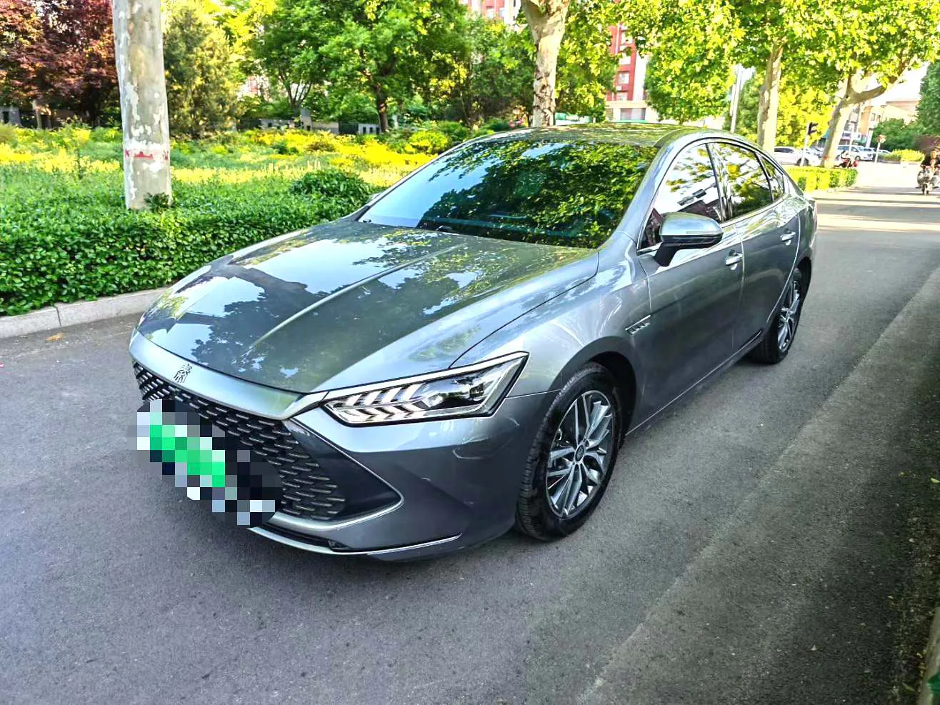 BYD BYD Qin PLUS — Серый
