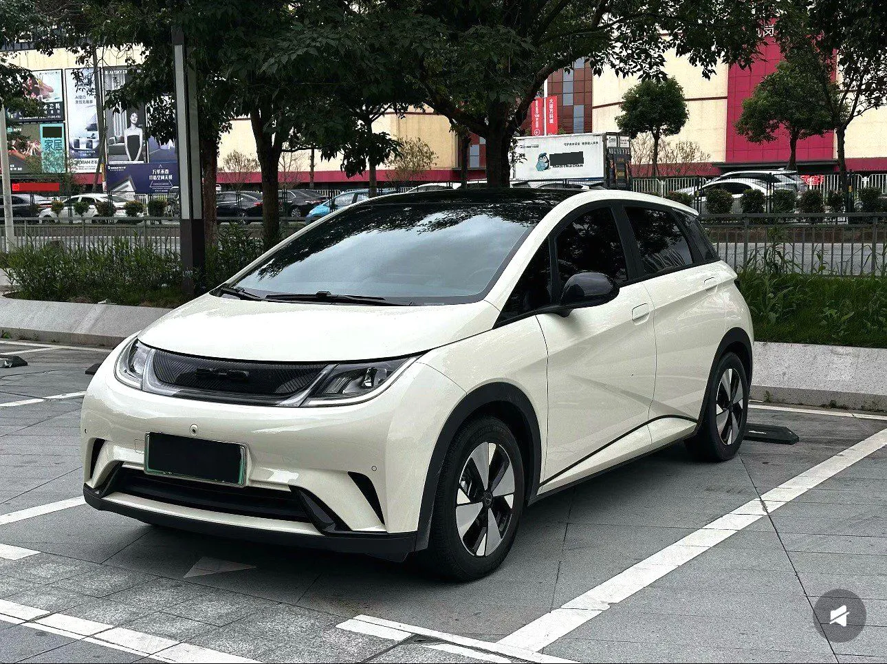 BYD BYD Dolphin — بيج