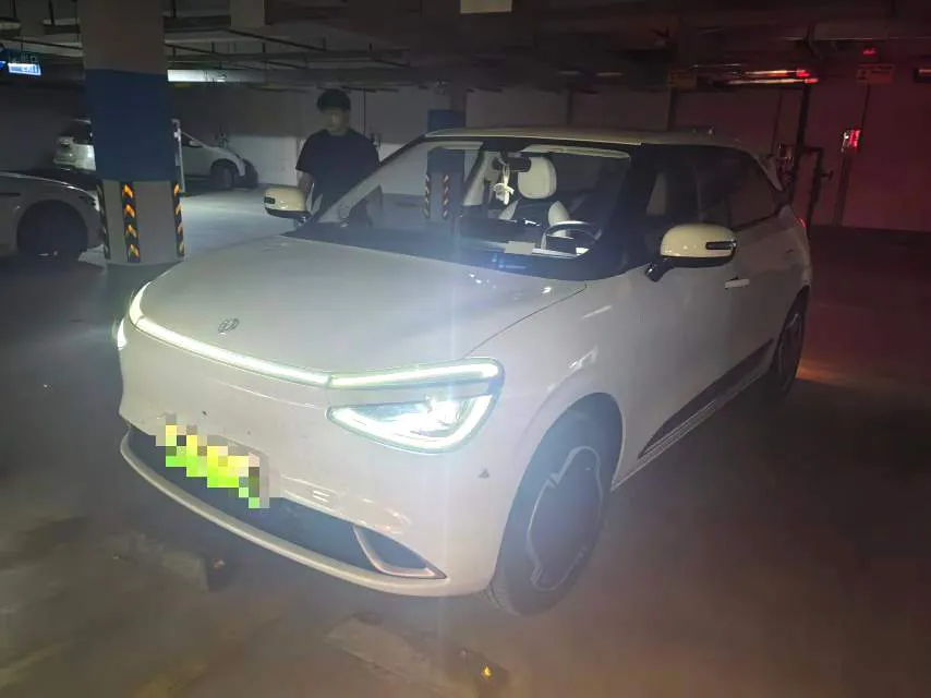Dongfeng Dongfeng Nano 01 — Green