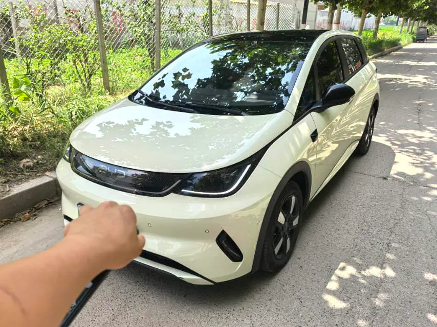 BYD BYD Dolphin — Beige