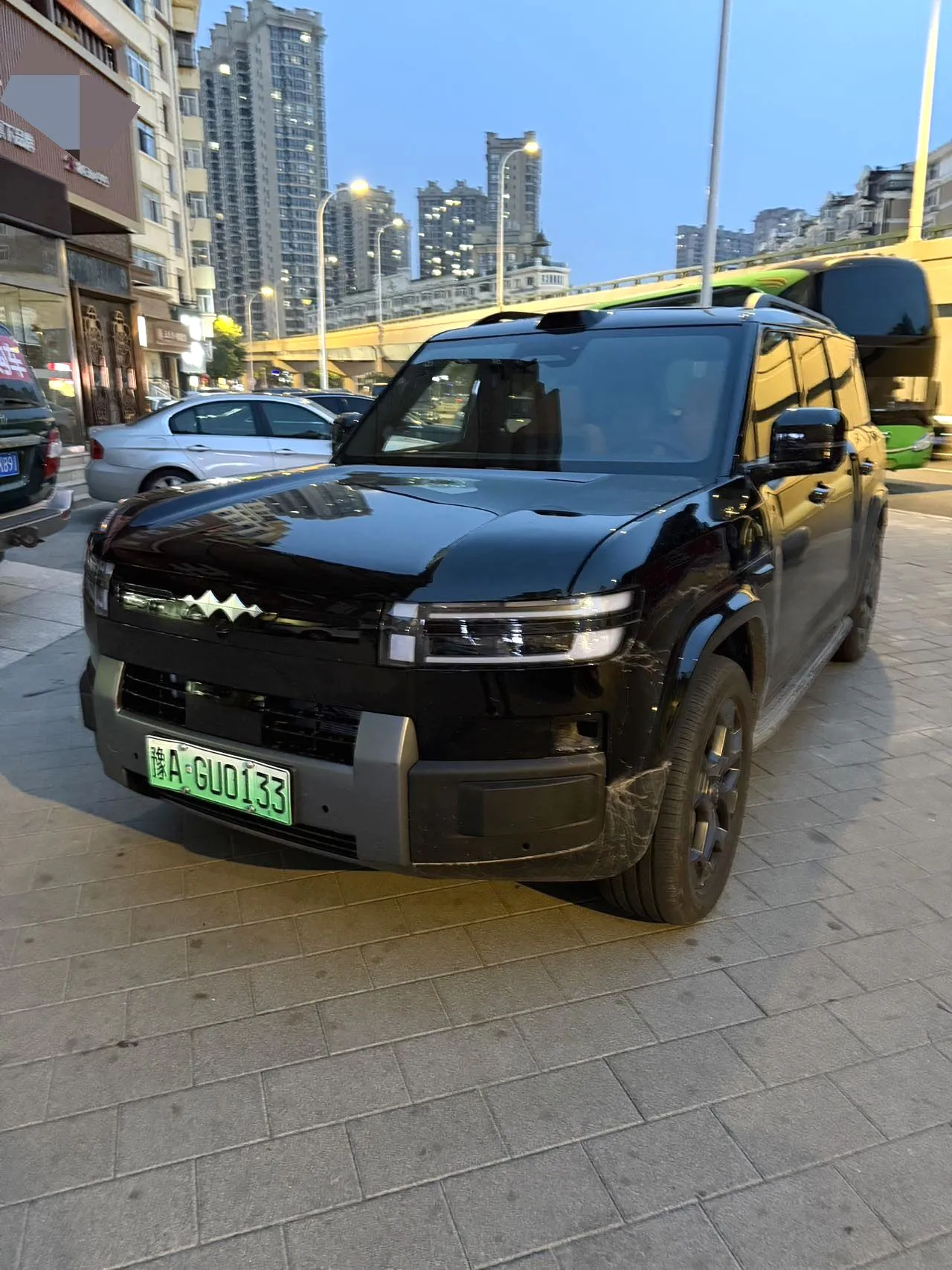Formula Formula Leopard Titanium — Black