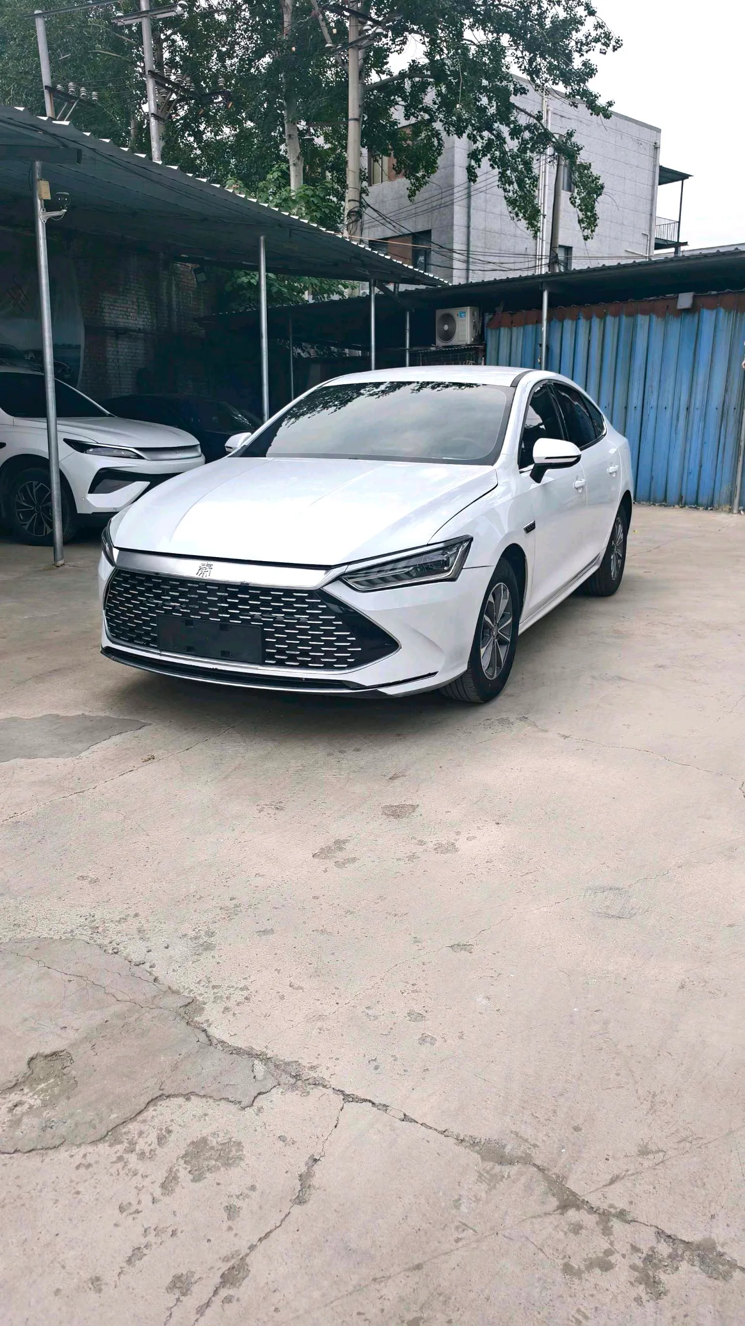 BYD BYD Qin PLUS — White