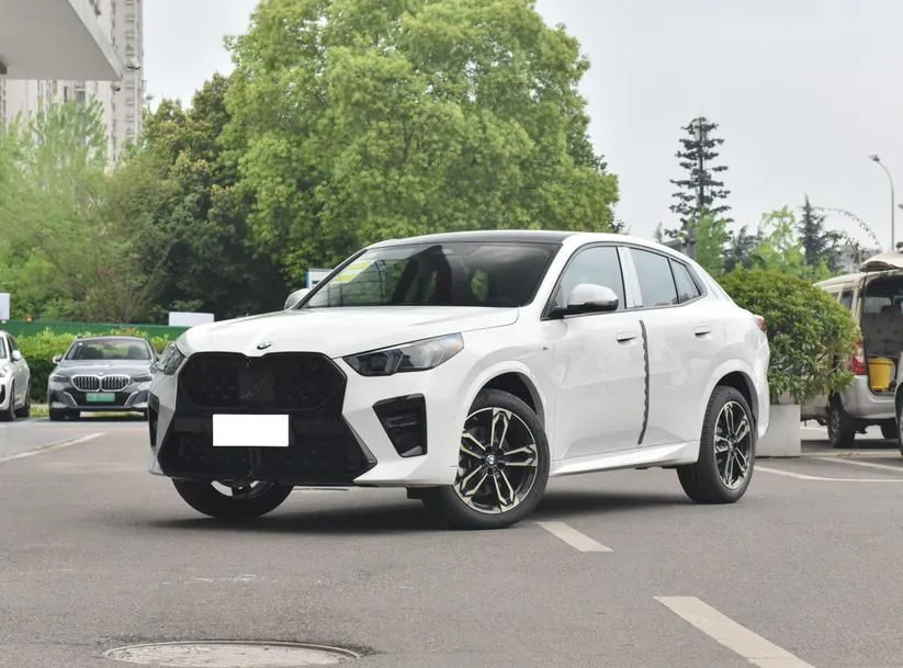 BMW X2 (Imported) X2 Imported 2024 xDrive25i M Sport Night Package — photo 1
