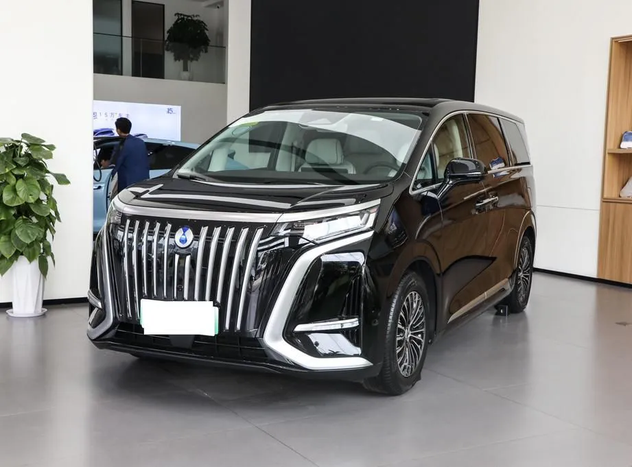 DENZA DENZA Denza D9 — mpv
