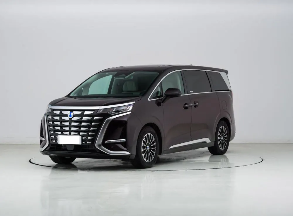 DENZA DENZA Denza D9 — mpv