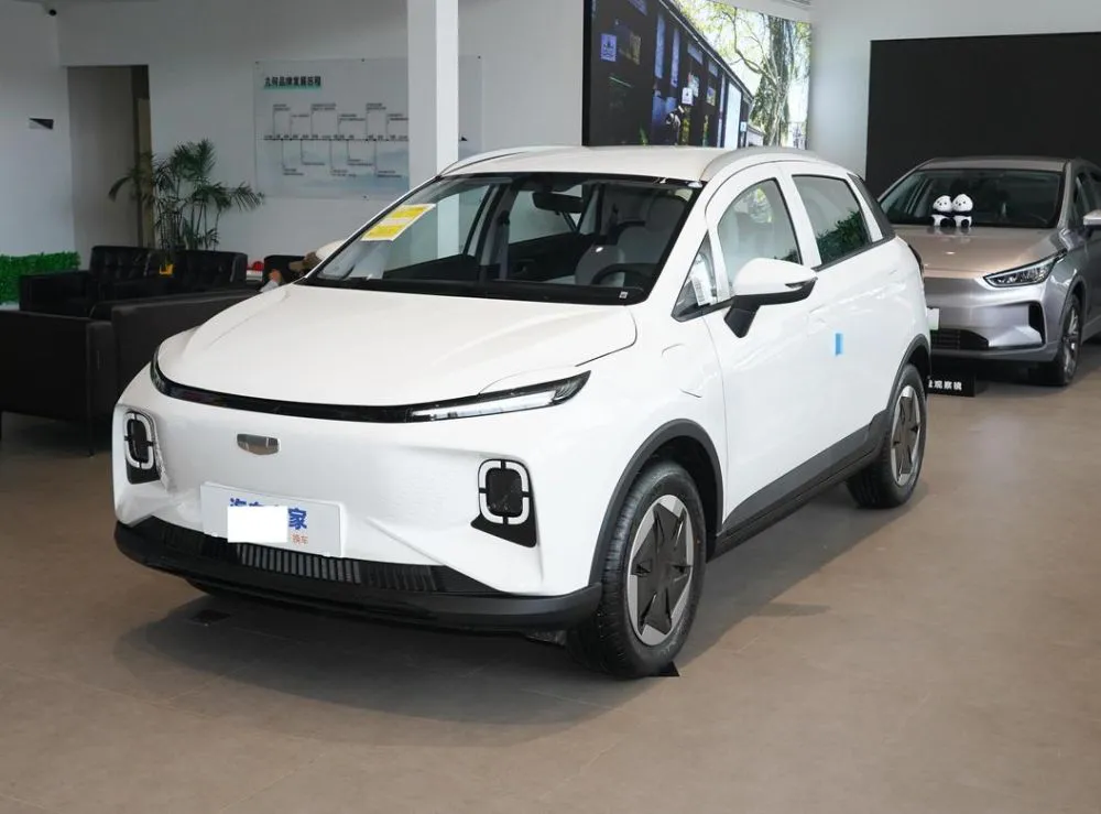 Geely Geometry E Geometry E Firefly 2024 301km Flowing Light — photo 1