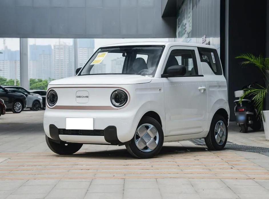 Geely Panda Panda 2024 Facelift Geely Pandamini 200km Longteng Edition — photo 1