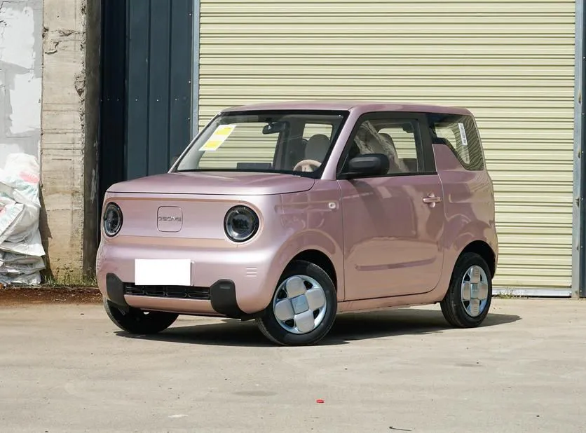 Geely Panda Panda 2024 Geely Pandamini 200km Longteng PRO Edition — photo 1
