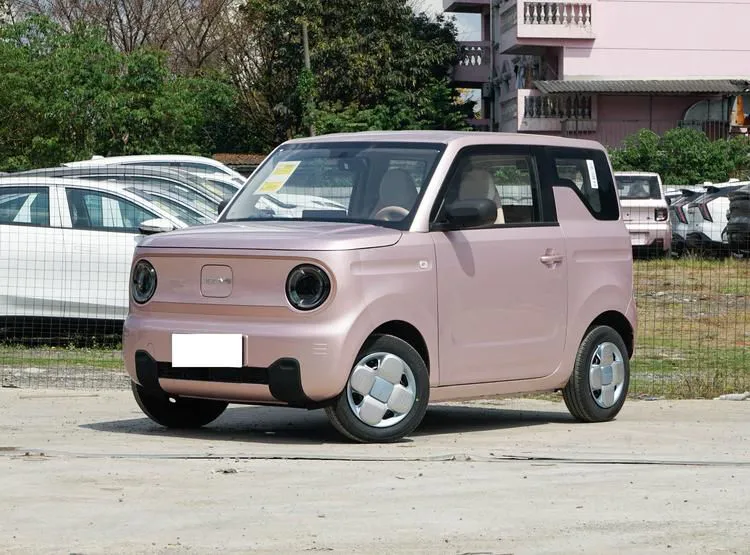 Geely Panda Panda 2024 Geely Pandamini 200km Endurance Bear — photo 1