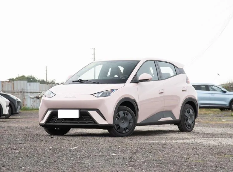 BYD Seagull Seagull 2024 Honor Edition 305km Vitality Edition — photo 1