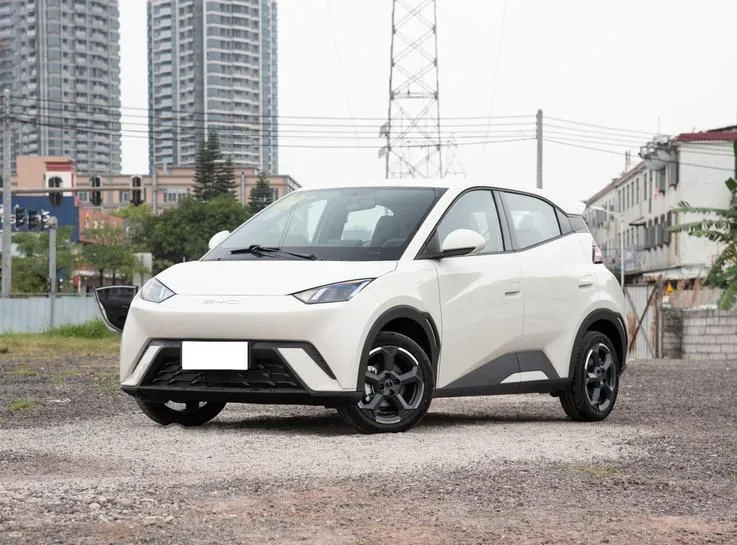 BYD Seagull Seagull 2024 Honor Edition 305km Freedom Edition — photo 1