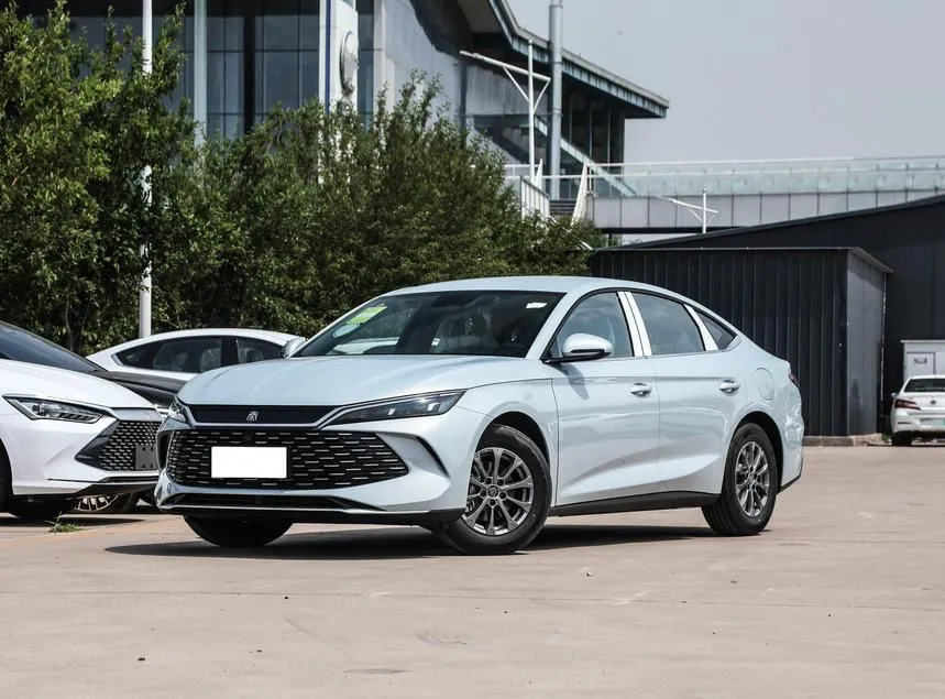 BYD Qin L Qin L2024 DM-i 80KM Leading Model — photo 1