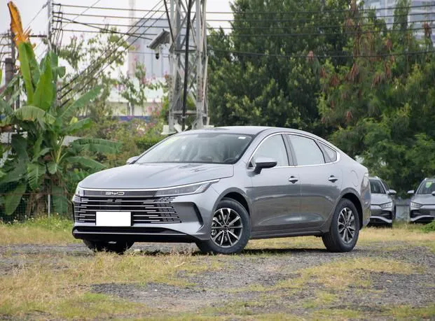 BYD Destroyer 05 Destroyer 05 2024 Honor Edition DM-i 55KM Luxury — photo 1