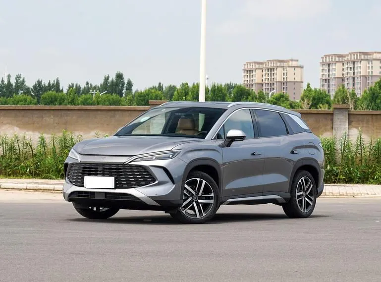 BYD SongL DM-i SongL DM-i 2024 112km Leading Model — photo 1