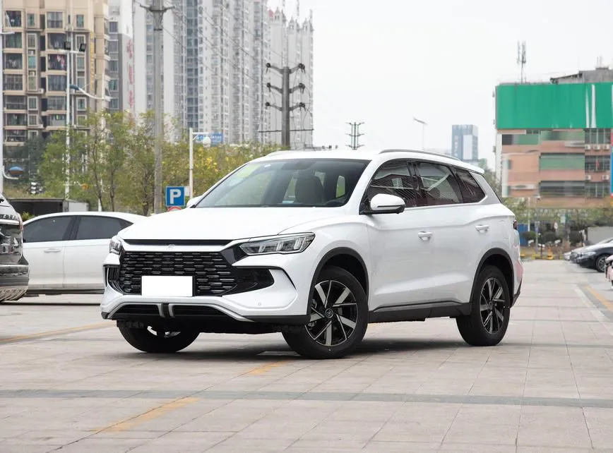 BYD Song Pro Song Pro New Energy 2024 Honor Edition DM-i 71KM Pilot Edition — photo 1