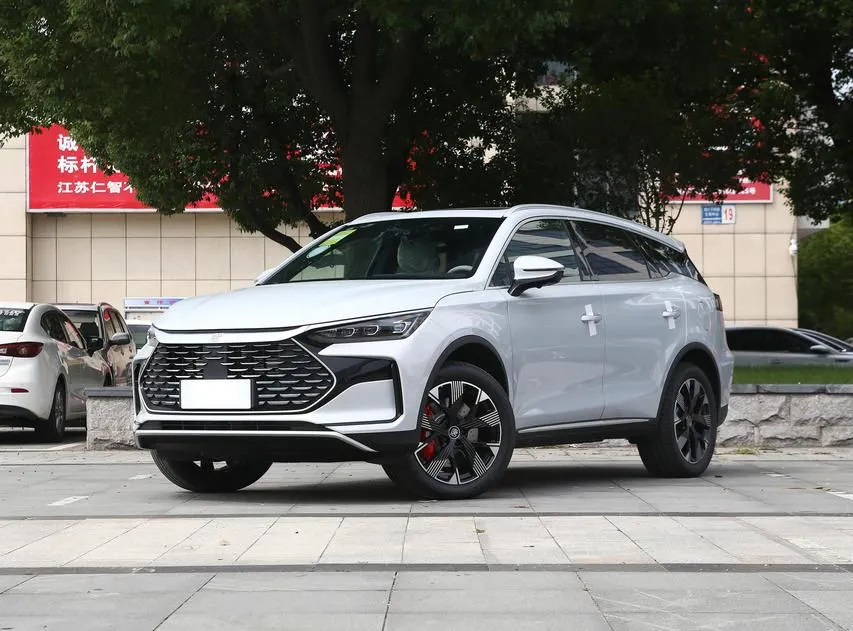 BYD Tang New Tang New Energy 2024 DM-p Champion Edition 215KM 4WD Premium Edition — photo 1
