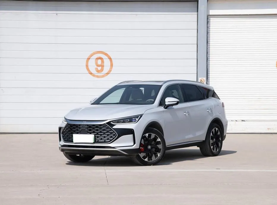 BYD Tang New Tang New Energy 2024 DM-p Honor Edition 215KM 4WD Flagship — photo 1