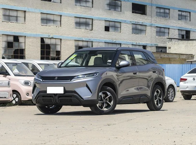 BYD Yuan Up Yuan UP 2024 301KM Leading Model — photo 1