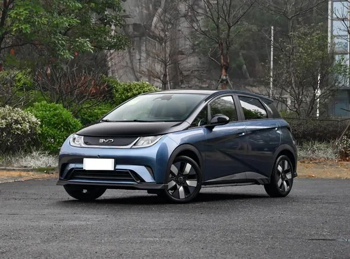 BYD Dolphin Dolphin 2024 Honor Edition 401km Knight Edition — photo 1
