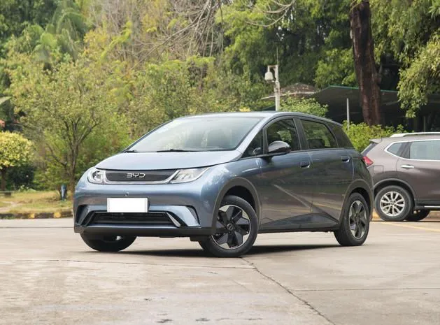 BYD Dolphin Dolphin 2024 Honor Edition 420km Freedom Edition — photo 1