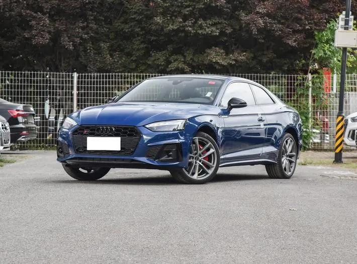 Audi Audi S5 — White / Gray / Black