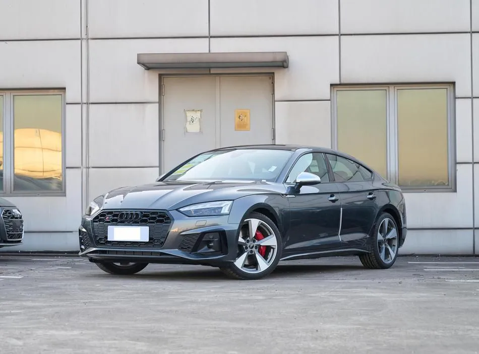 Audi Audi S5 — White / Gray / Black
