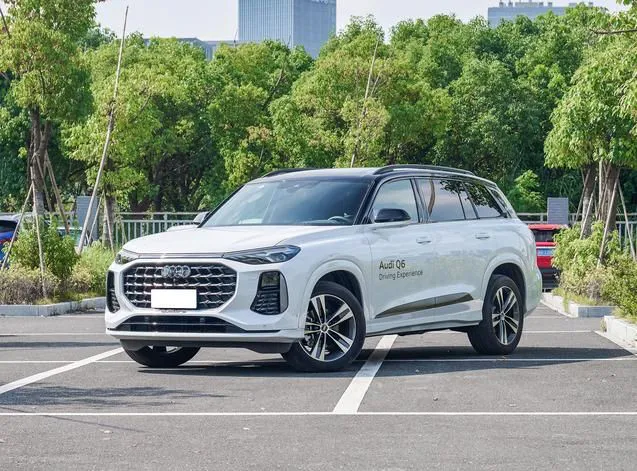 Audi Audi Q6 — White / Silver / Gray / Black