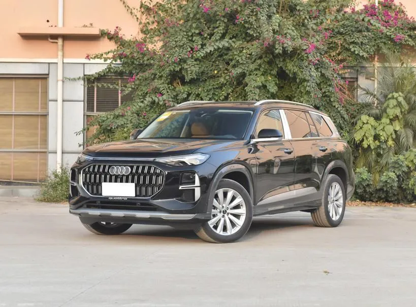 Audi Audi Q6 — Blanc / Argenté / Gris / Noir