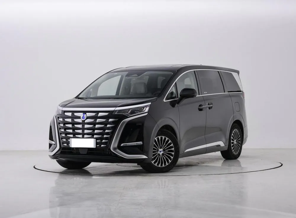 DENZA DENZA Denza D9 — mpv
