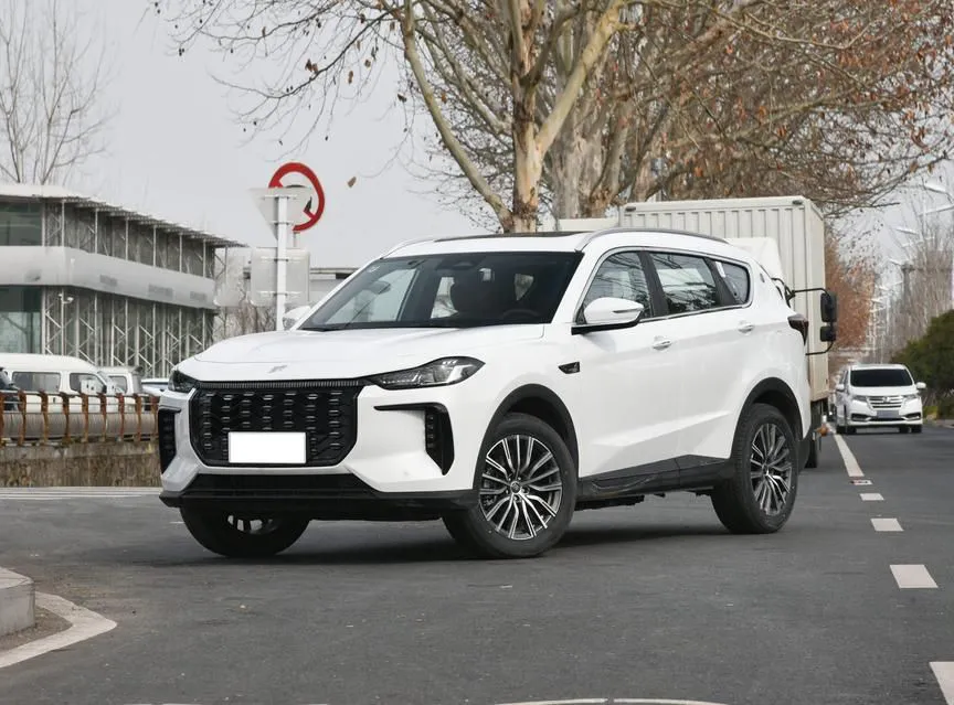 Chery Jetour X70 Jetour X70 C-DM 2024 Yuanhang Edition PRO+ 5 Seaters — photo 1