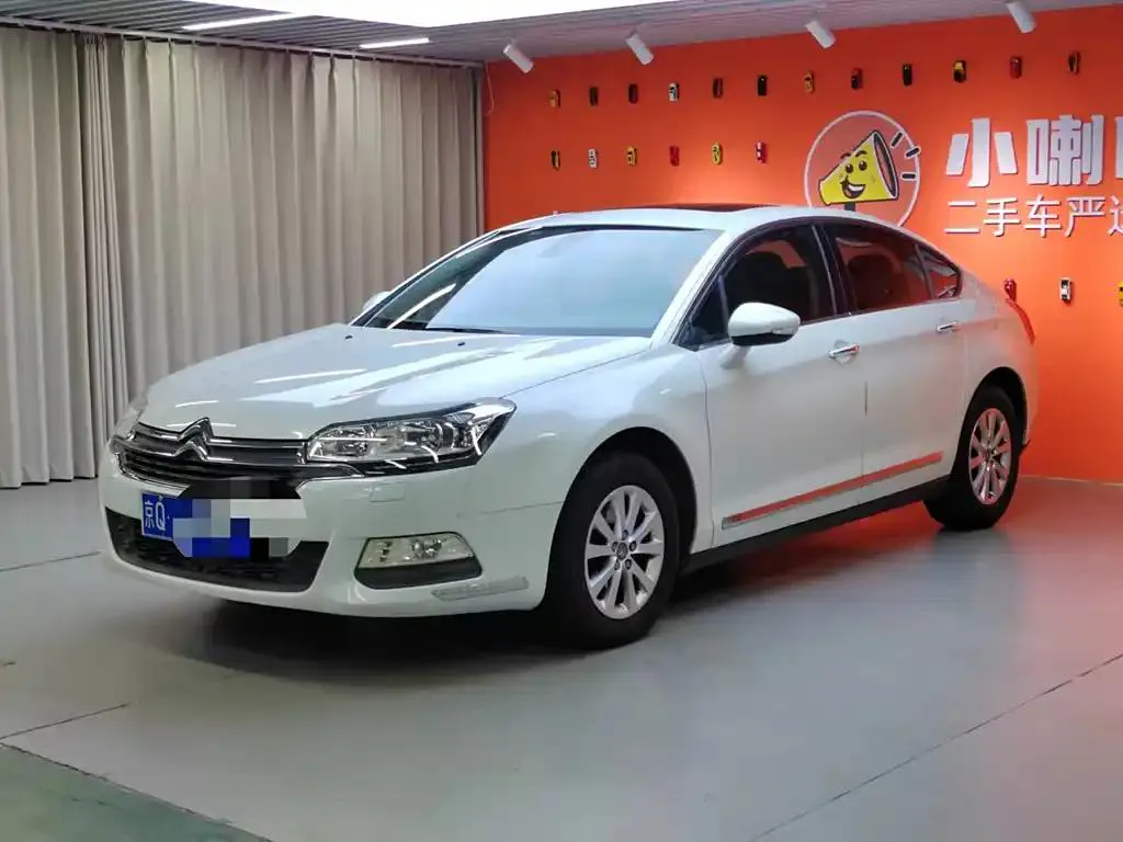 Citroen Citroen C5 — White